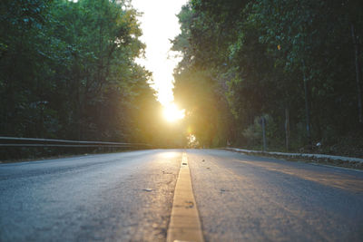 Empty road along trees and plants