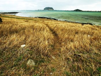 Scenic view of beach against sky