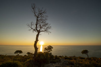 Scenic view of sea against clear sky during sunset