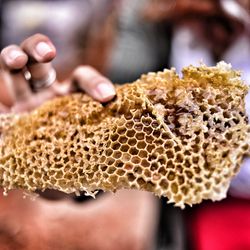 Close-up of woman holding honeycomb