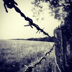 Close-up of barbed wire