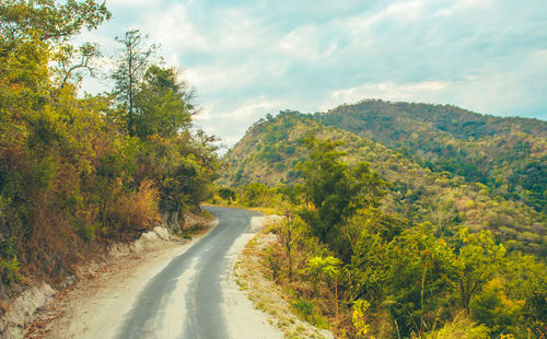 Road amidst trees against sky