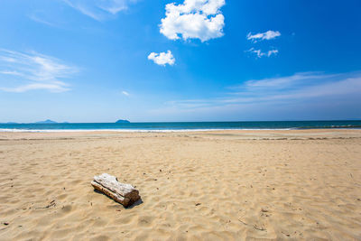 Scenic view of driftwood on beach against sky