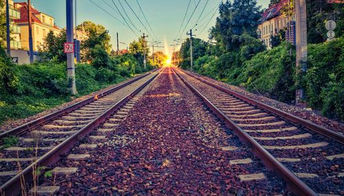 Railroad tracks amidst trees against sky