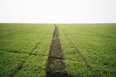 Scenic view of agricultural field against clear sky