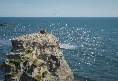 Rock formation in sea against clear sky