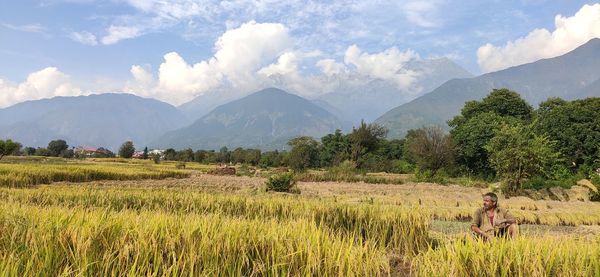 Scenic view of field against sky