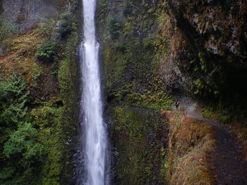 Scenic view of waterfall in forest