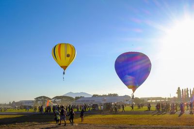 Hot air balloons flying over field against clear blue sky
