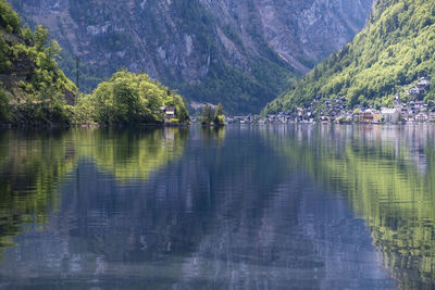 Scenic view of lake in forest