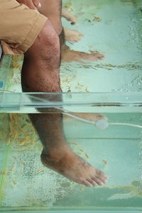 Low section of man legs in swimming pool