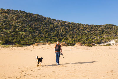 Full length of a dog walking on beach
