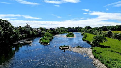 Scenic view of river amidst trees against sky