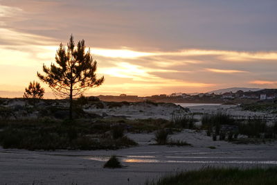 Scenic view of landscape against sky during sunset