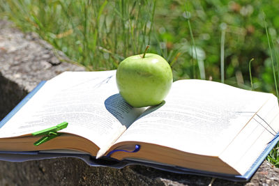 Close-up of apple on table