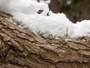 Close-up of water in winter