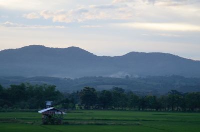 Scenic view of field against sky