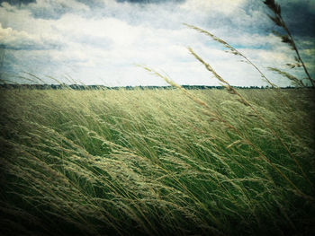 Scenic view of field against cloudy sky