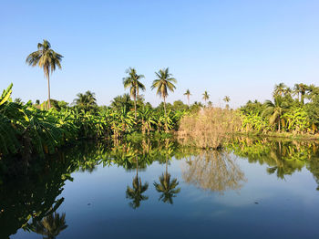 Scenic view of lake against clear blue sky