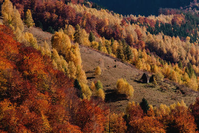 Autumn sunset landscape