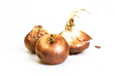 Close-up of apple against white background