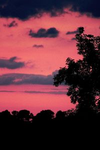 Low angle view of silhouette trees against sky during sunset