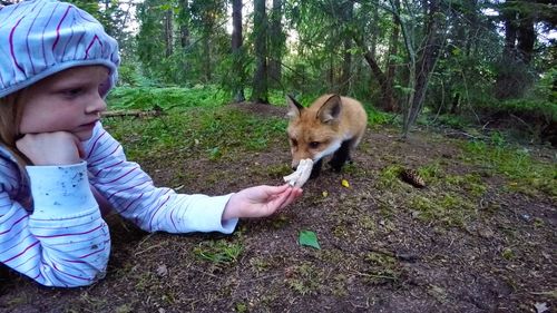 Dog standing on field