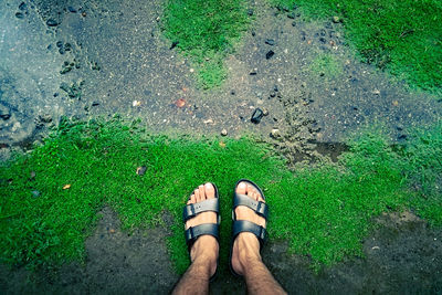 Low section of man standing on grass