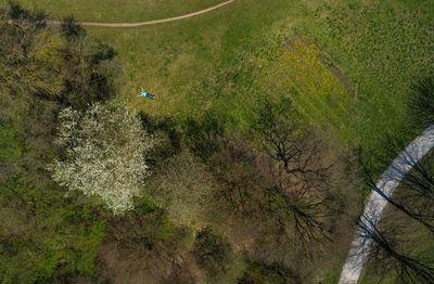 Aerial view of man lying on grassy field in park