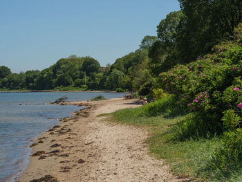 Scenic view of beach against clear sky