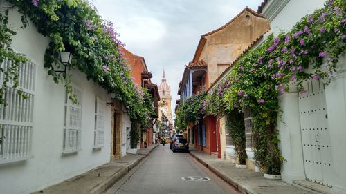 Narrow walkway along buildings