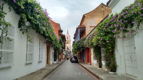 Street view of cartagena cathedral tower