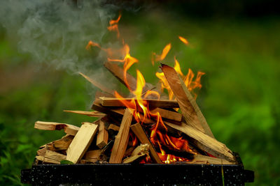 Close-up of bonfire on wood