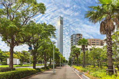 Street amidst palm trees and buildings against sky