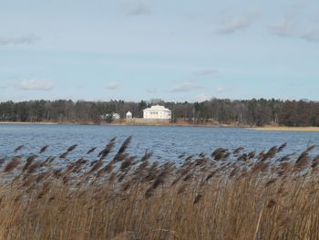 Scenic view of lake against sky