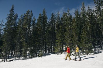 Two young women snow shoe on mt. hood on a sunny day.