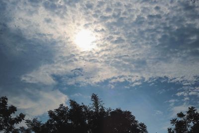 Low angle view of trees against cloudy sky