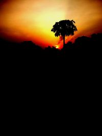 Silhouette tree against orange sky