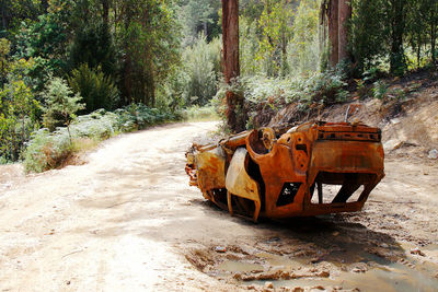 Abandoned vehicle on dirt road in forest