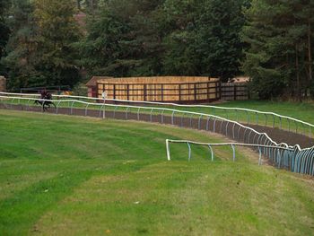 Empty benches on field against trees