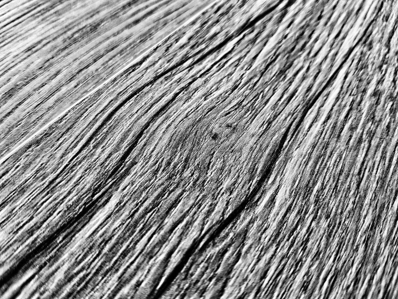 MACRO SHOT OF WOOD