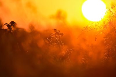 Close-up of orange sun during sunset