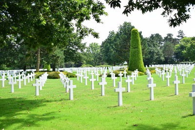 View of tombstones in cemetery