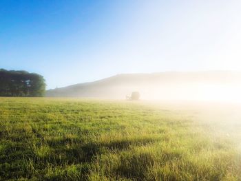 Scenic view of field against clear sky