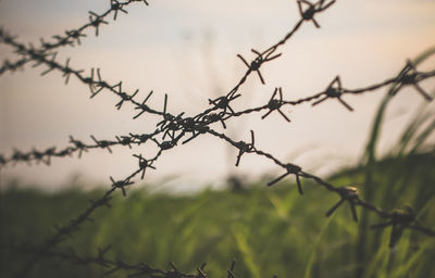 Close-up of barbed wire fence against sky