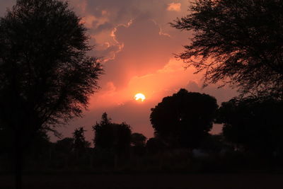 Silhouette trees on field against sky during sunset