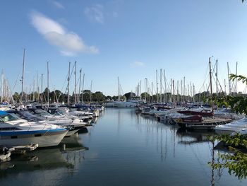 Sailboats moored in harbor