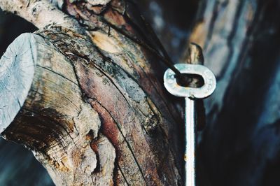 Close-up of wooden plank