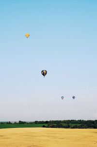 Hot air balloons flying over field