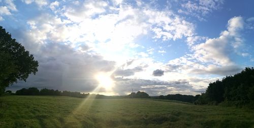 Scenic view of grassy field against sky